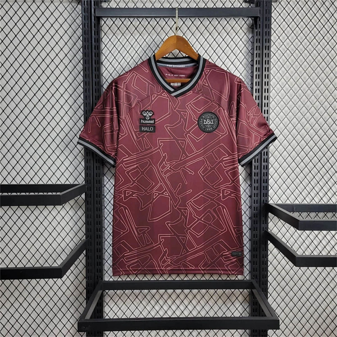 Maillot Édition Spéciale 24/25 Danemark Édition shirt