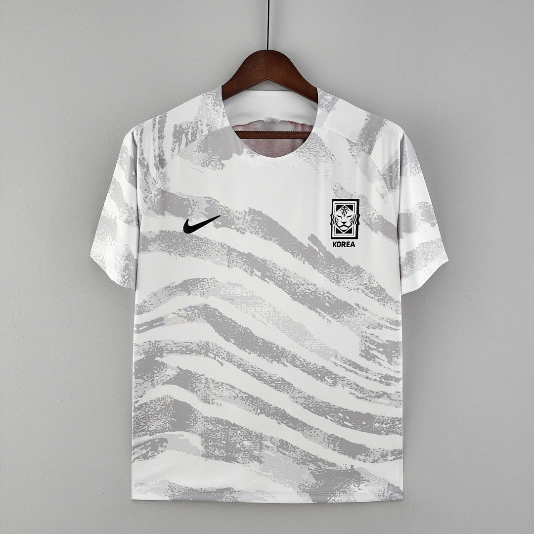 Maillot Entraînement 2022 Korean suit Gris