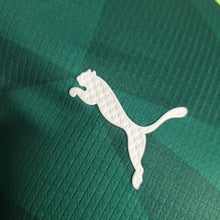 Maillot Domicile 23 24 Player Palmeiras