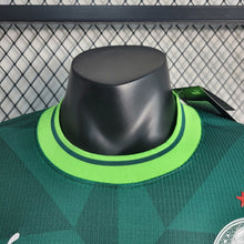 Maillot Domicile 23 24 Player Palmeiras