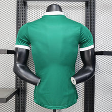 Maillot Domicile 25/26 Players Palmeiras all sponsors