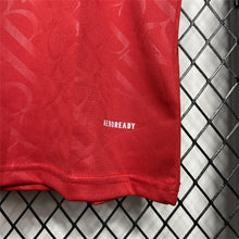 Maillot Domicile Rétro Pologne 2012
