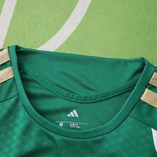 Maillot Entraînement 2026 FIFA World Cup Argentine suit Fan version