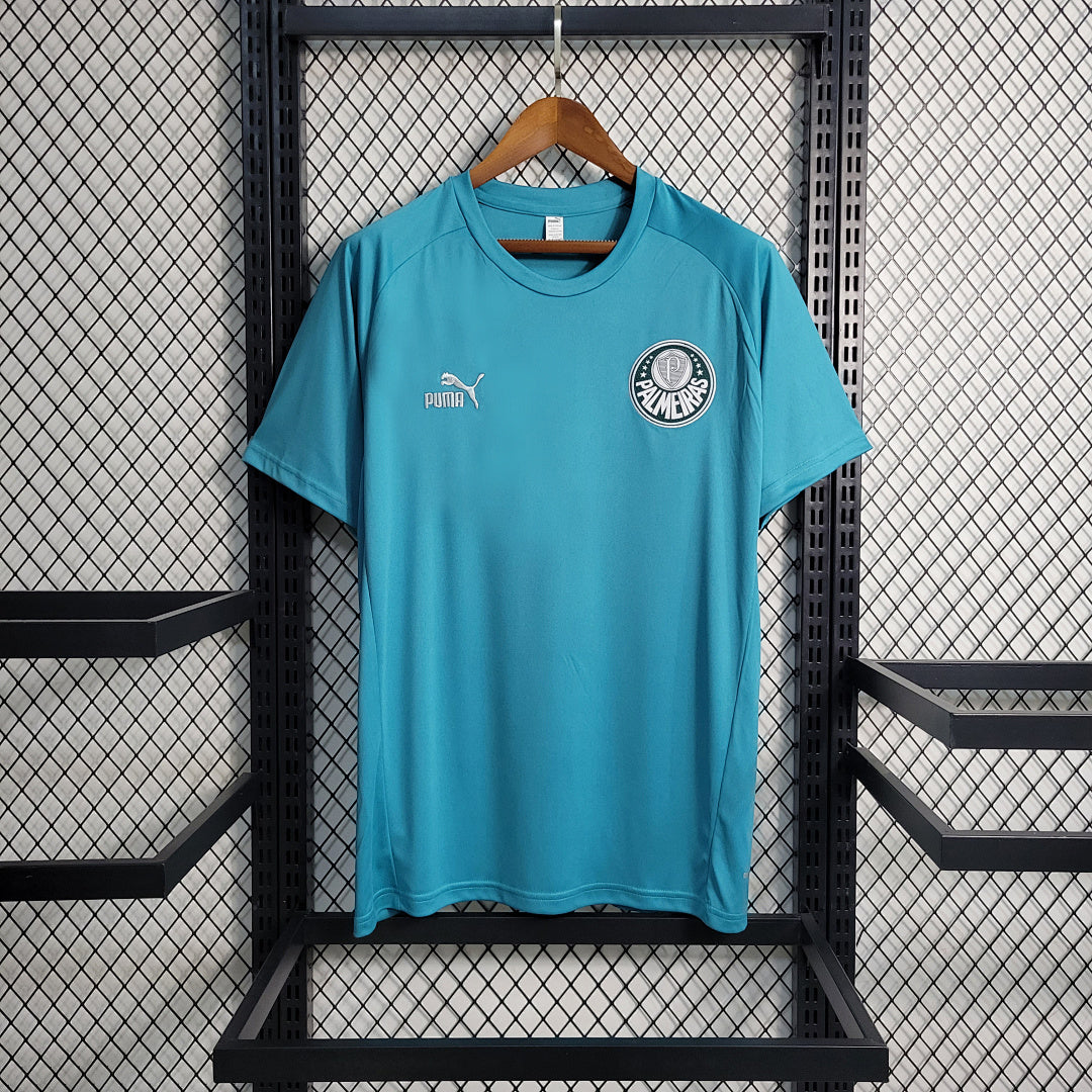 Maillot Entraînement 23 24 Palmeiras Suit Vert