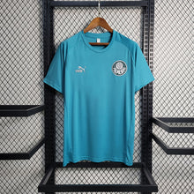 Maillot Entraînement 23 24 Palmeiras Suit Vert