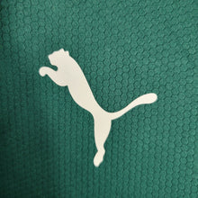 Maillot Entraînement 23 24 Palmeiras T Vert