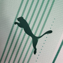 Maillot Extérieur 23 24 Palmeiras tank