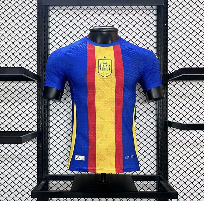 Maillot Version Joueur Avant match Entraînement Espagne 2024/25 Euro uniform