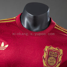 Maillot Version Joueur Bayern Munich 25/26 125th Anniversaire Long sleeved